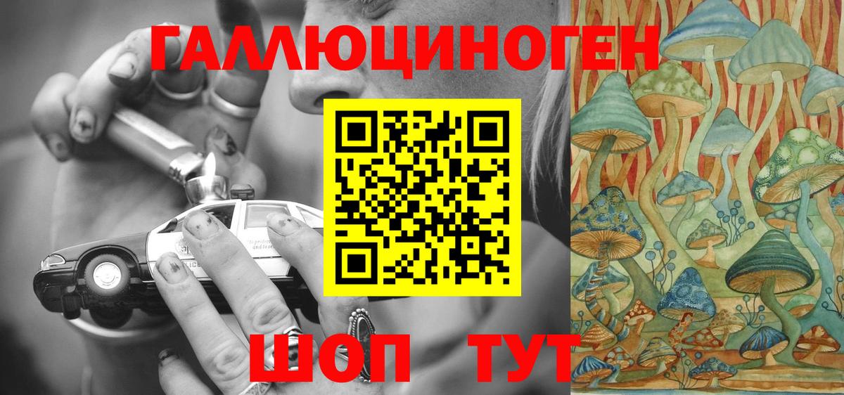 Калининград  Галлюциногенные грибы Psilocybine cubensis  Галлюциногенные грибы Cubensis  Вход с VPN 